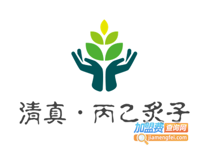 清真·丙乙炙子烤肉加盟