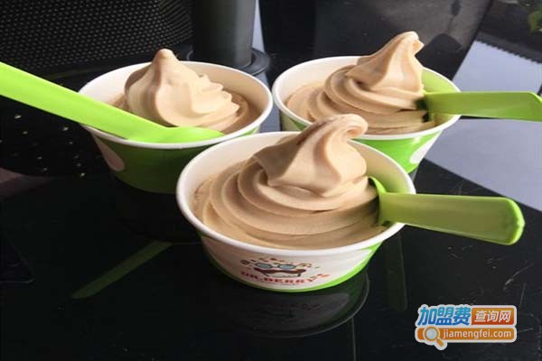 DrBerry朵宝酸奶冰激凌加盟门店