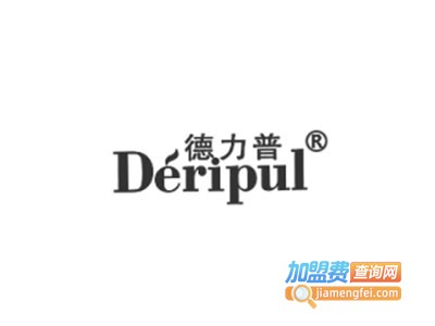 德力普汽车护航加盟费