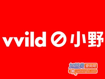 vvild小野加盟费