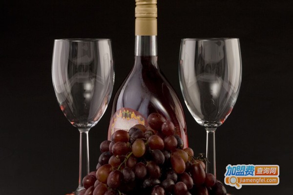 黛斯特尼葡萄酒加盟费