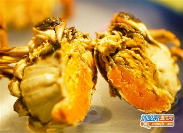 食说江南加盟费