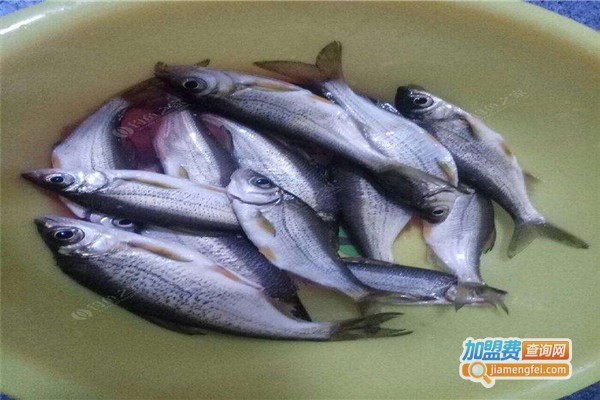 大河帮碎石鱼加盟费