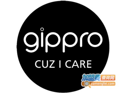 gippro龙舞加盟费