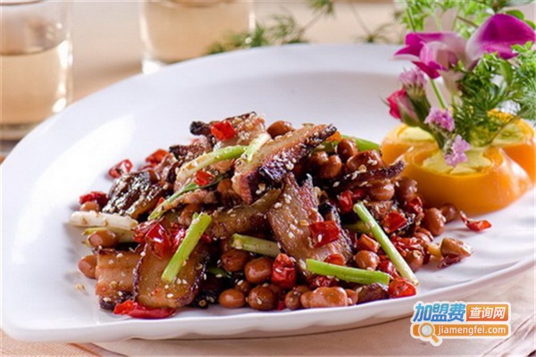 苑里院外加盟费