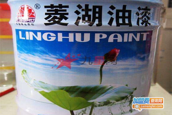 菱湖油漆加盟费