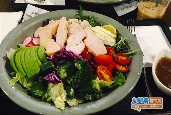 原素沙拉加盟费