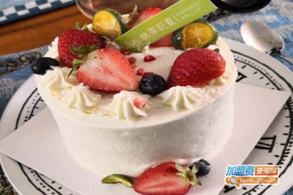 执茶识麦加盟门店