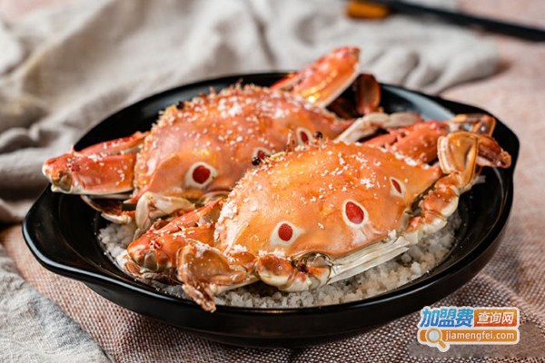 为食星球加盟费