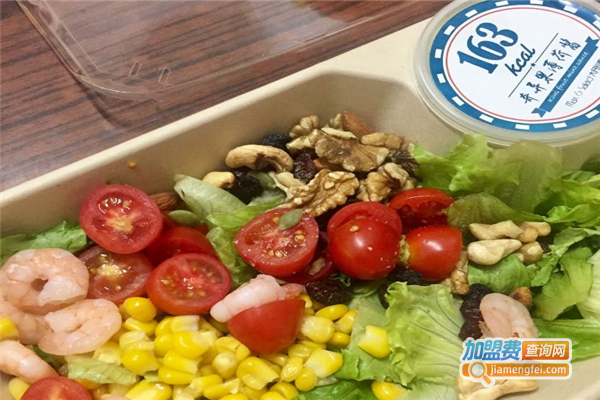 saladuniversity加盟费