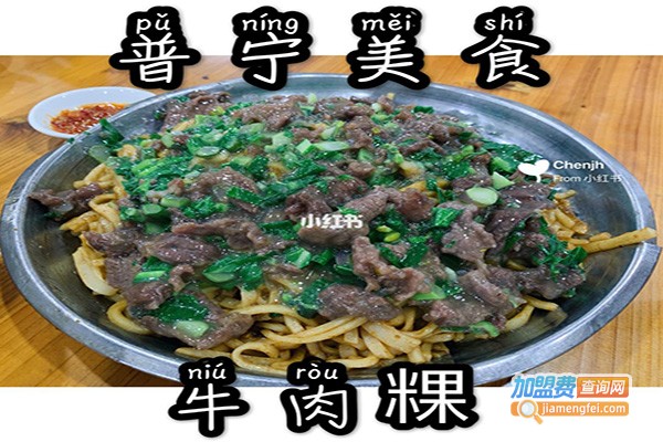 小普宁牛肉粿