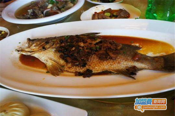 大河帮碎石鱼加盟费