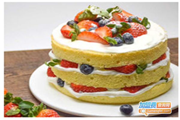 马卡烤箱加盟门店