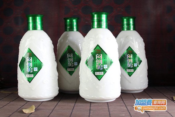 草原闷倒驴白酒加盟费