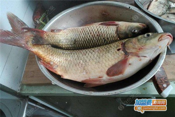 大河帮碎石鱼加盟费