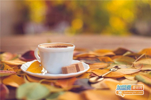 小南门元气饮品加盟