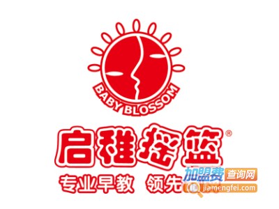 启稚摇篮早教加盟费