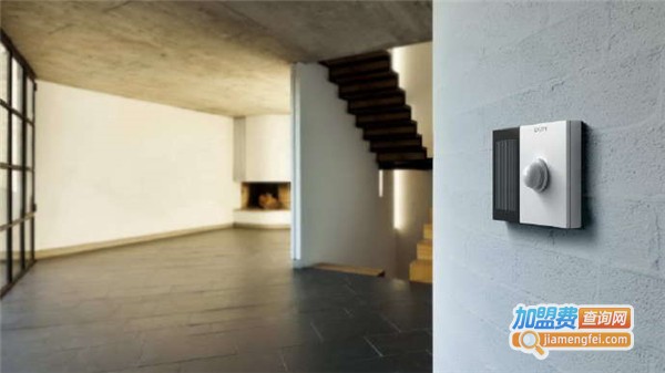 莱克斯瑞加盟费