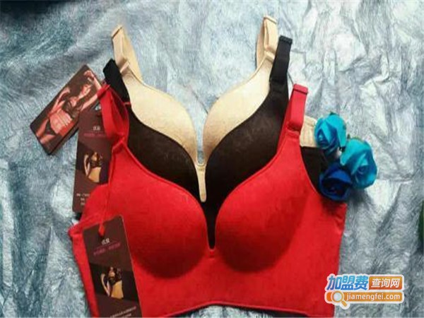 谜兰时黛美体内衣加盟门店