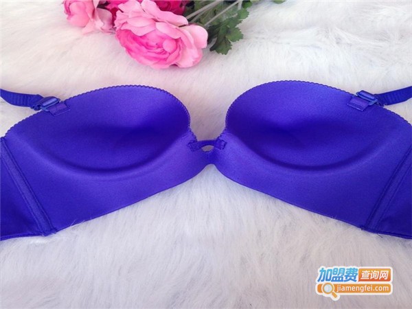 乔兰斯品牌内衣加盟门店