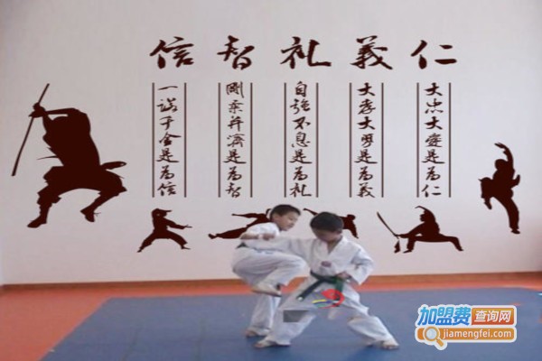 鼎峰武道馆加盟