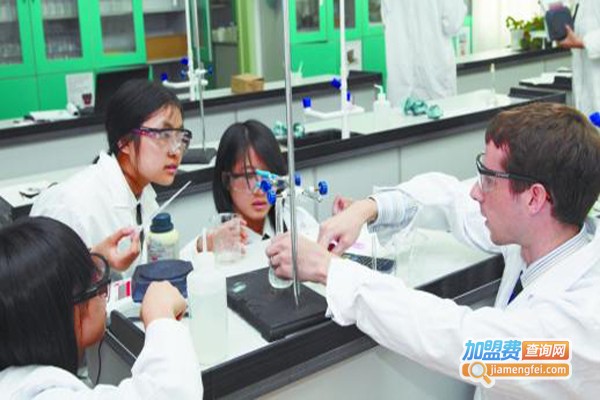 证凯教育加盟费