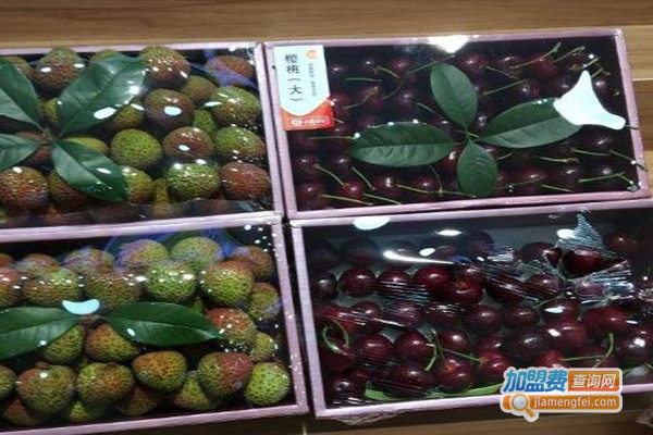 雨露空间水果批发加盟费