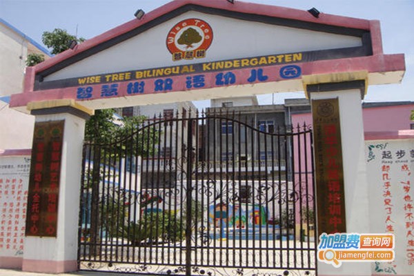 智慧树双语幼儿园加盟门店