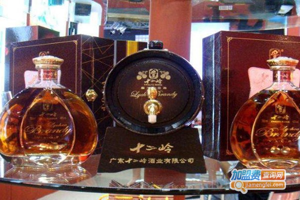 广东十二岭酒业加盟费
