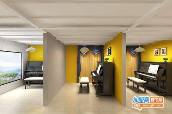 星华琴行加盟费