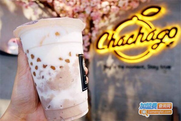 茶茶go