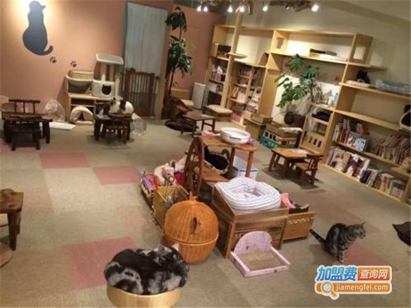 萌季猫咪咖啡馆