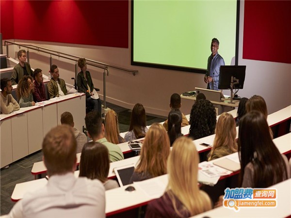 田里的谷子加盟