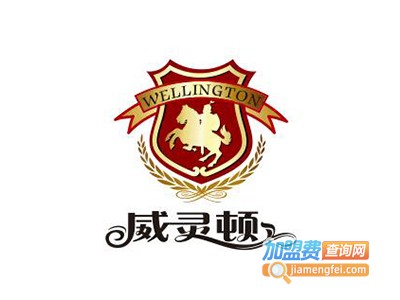 威灵顿国际英语加盟费