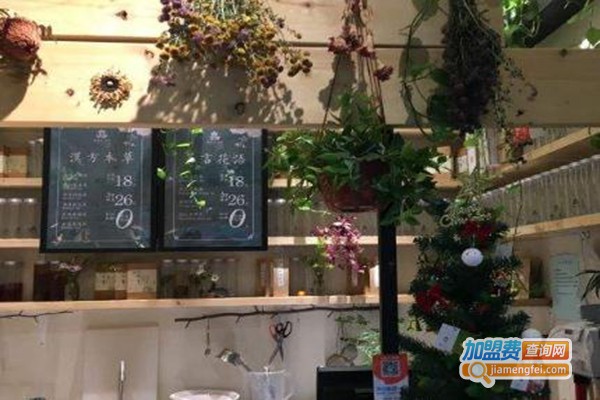 十一茶屋