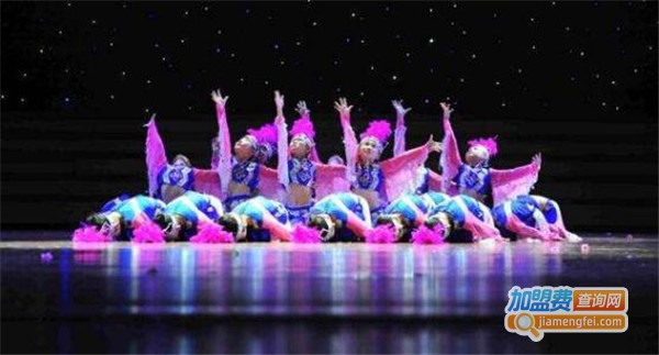 悦灵舞道加盟费