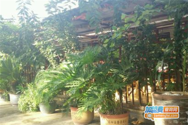 怡君居美食村加盟费