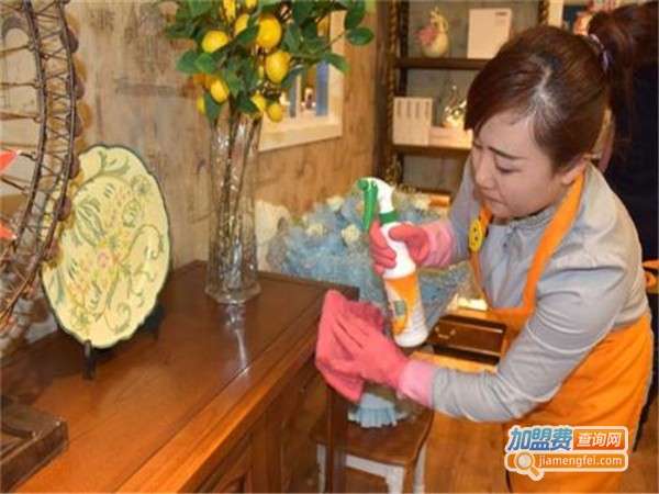 好月嫂家政服务加盟门店