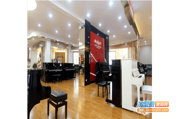 兄弟琴行加盟费