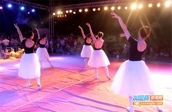 慧艺舞蹈艺术学校加盟费