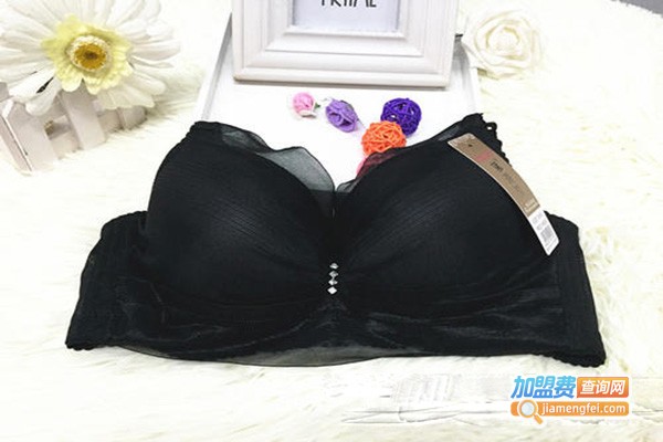 黛琪莹内衣加盟门店