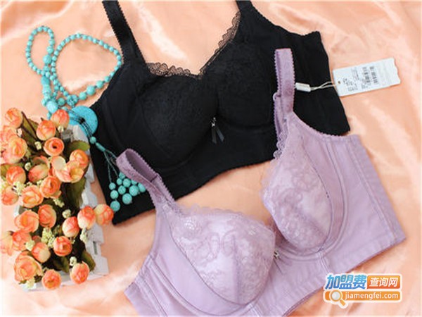 香绯内衣加盟门店