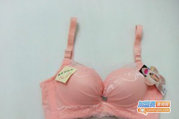 比蝶内衣加盟门店