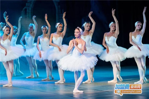 冰雪舞蹈培训加盟费