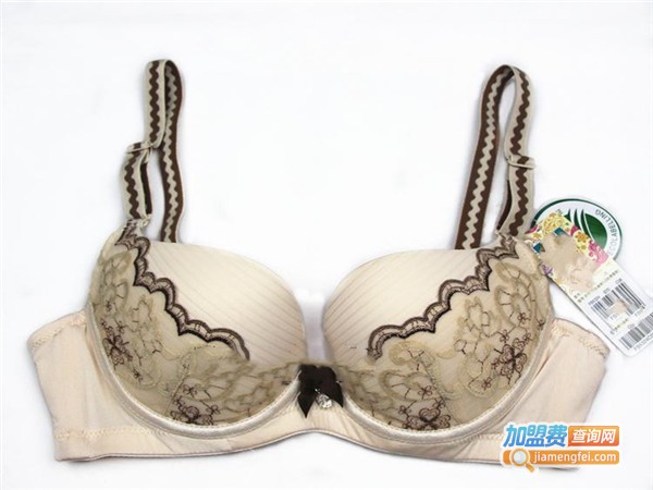 诗曼玲内衣加盟费