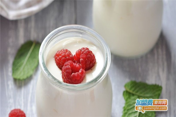 蘑菇妞酸奶加盟费