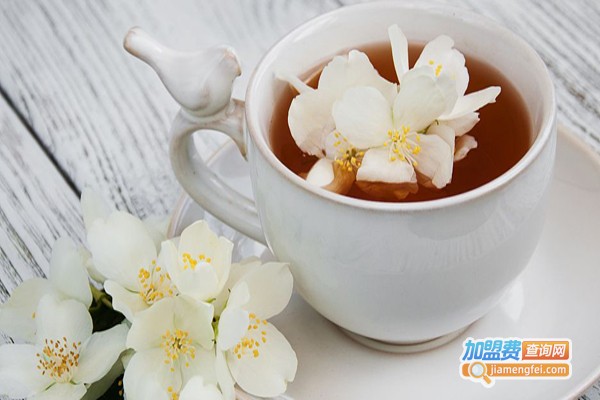 正常的茶加盟费