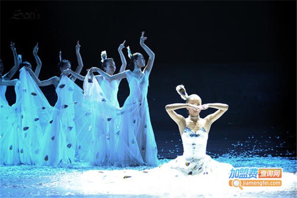 雀之灵舞蹈加盟费