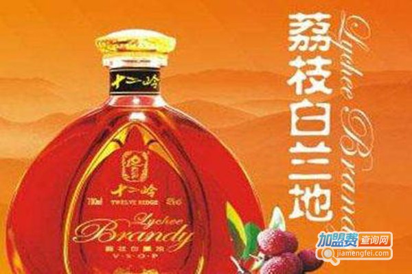 广东十二岭酒业加盟费