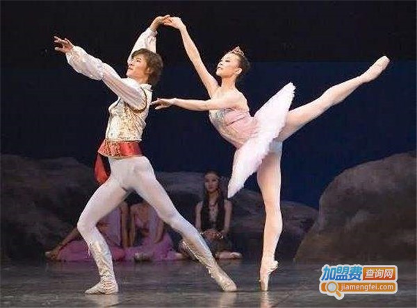 慧艺舞蹈艺术学校加盟费